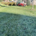 Why Aeration is Critical to Your Lawn Health Header Image