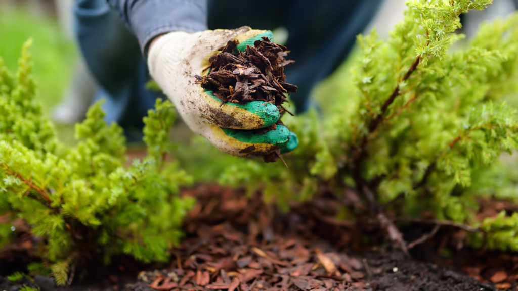 landscape mulch